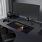 Conan The Barbarian Arnold Schwarzenegger LED Gaming Mouse Mat  RGB Fantasy Desk Pad  RetroPunkDesign - Retro Punk Design 